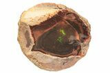 Ethiopian Chocolate Opal Nodule - Yita Ridge #211272-1